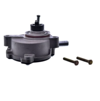 Bomba De Vácuo Ranger 3.0 E Troller 3.0 Original Mwm 7002384C1E 7008026R1E 72135